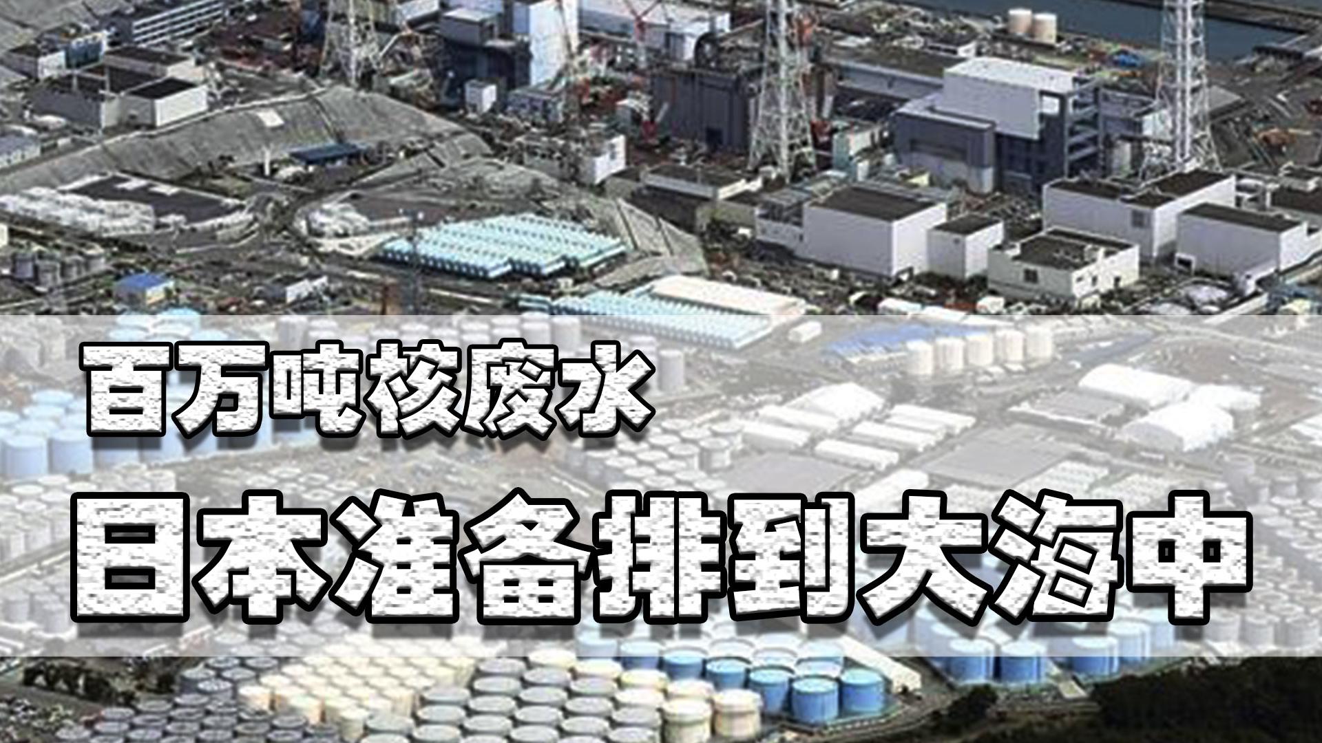 國內多家日料店告急！投資經營及裝修選擇須謹慎